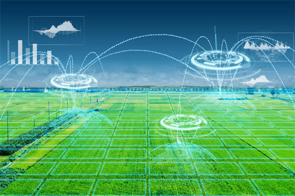 溫州種出2.1米高巨型水（shuǐ）稻，精益生（shēng）產怎麽看？