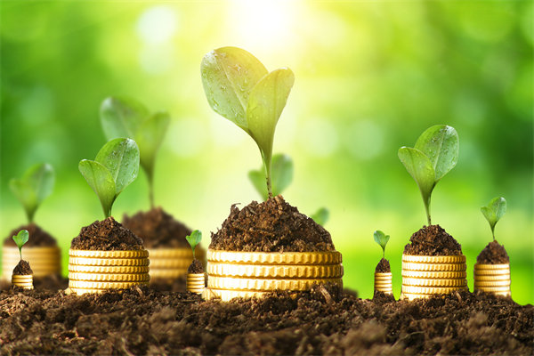 預算管理谘詢公司（sī）如何幫助企（qǐ）業破解資金錯配問題？