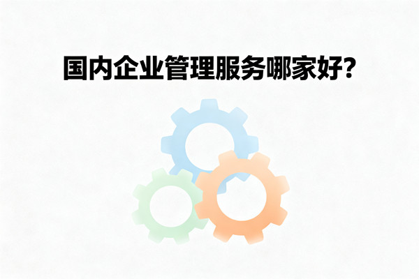 國內（nèi）企業管理服務哪（nǎ）家好（hǎo）？