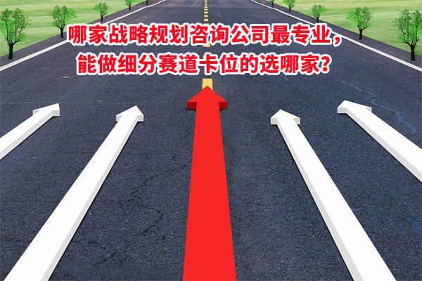 哪家戰略規劃谘詢公司最專（zhuān）業，能做細分賽道卡位的選哪家（jiā）？