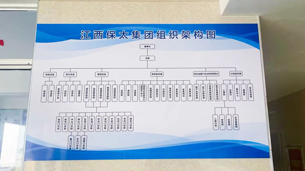 江（jiāng）西（xī）保太集團（tuán）組織架構圖
